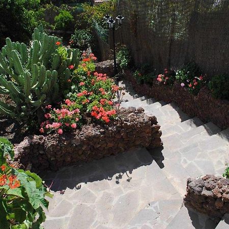 Casa Rural EL Olivar - La Almazara Santa Lucia Dış mekan fotoğraf