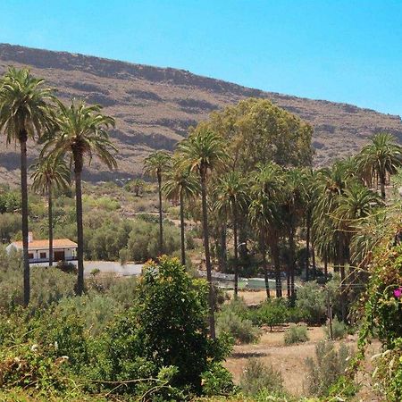 Casa Rural EL Olivar - La Almazara Santa Lucia Dış mekan fotoğraf