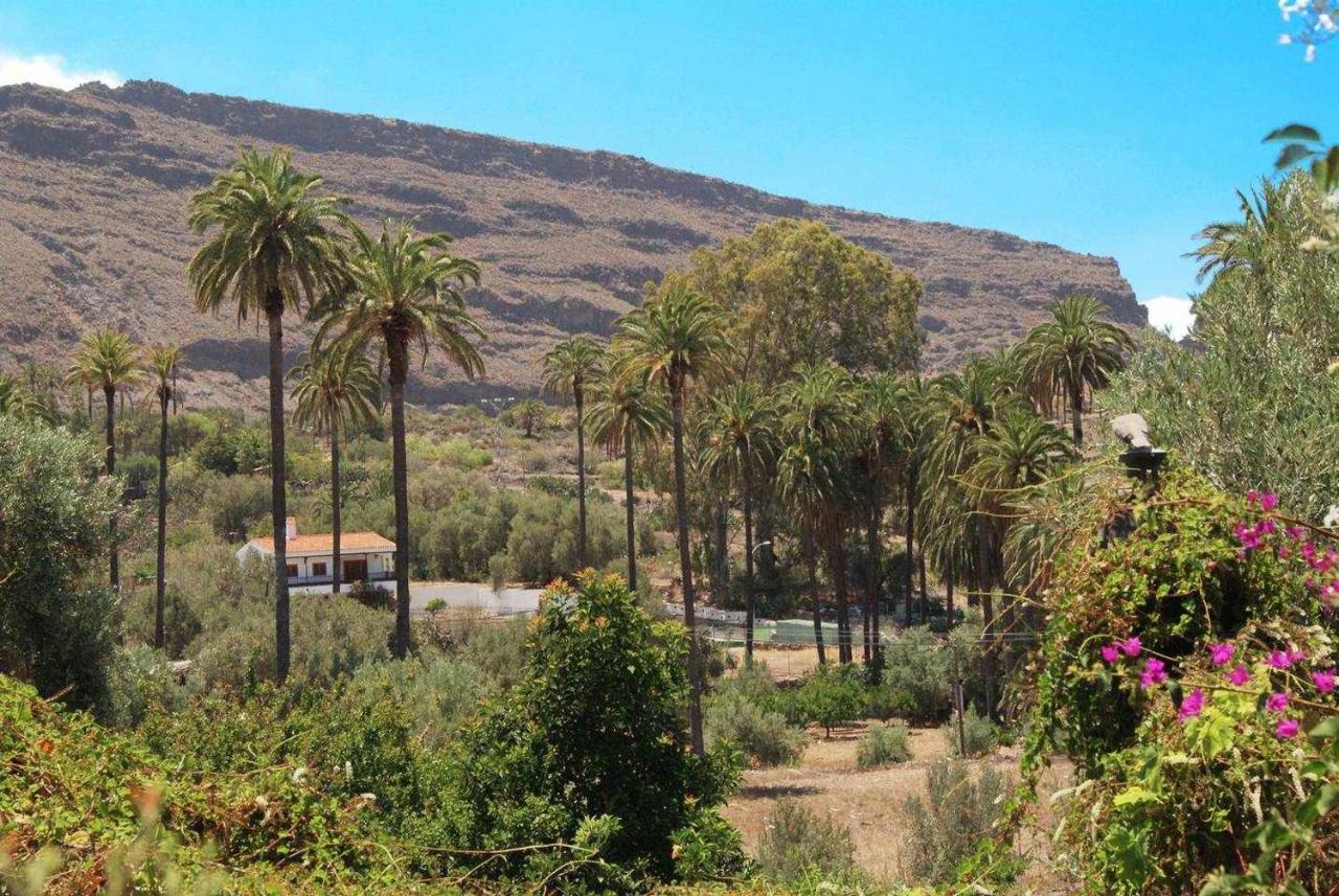 Casa Rural EL Olivar - La Almazara Santa Lucia Dış mekan fotoğraf