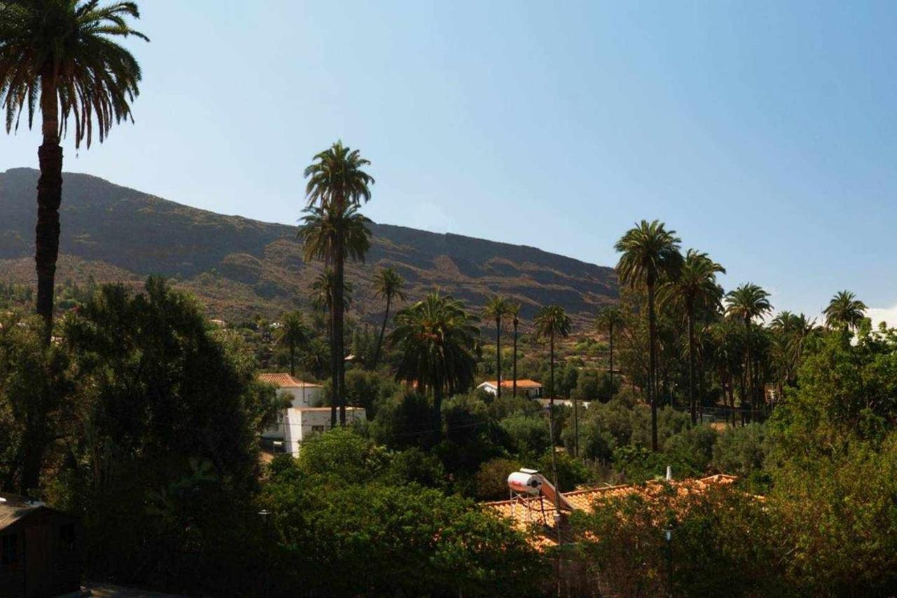 Casa Rural EL Olivar - La Almazara Santa Lucia Dış mekan fotoğraf