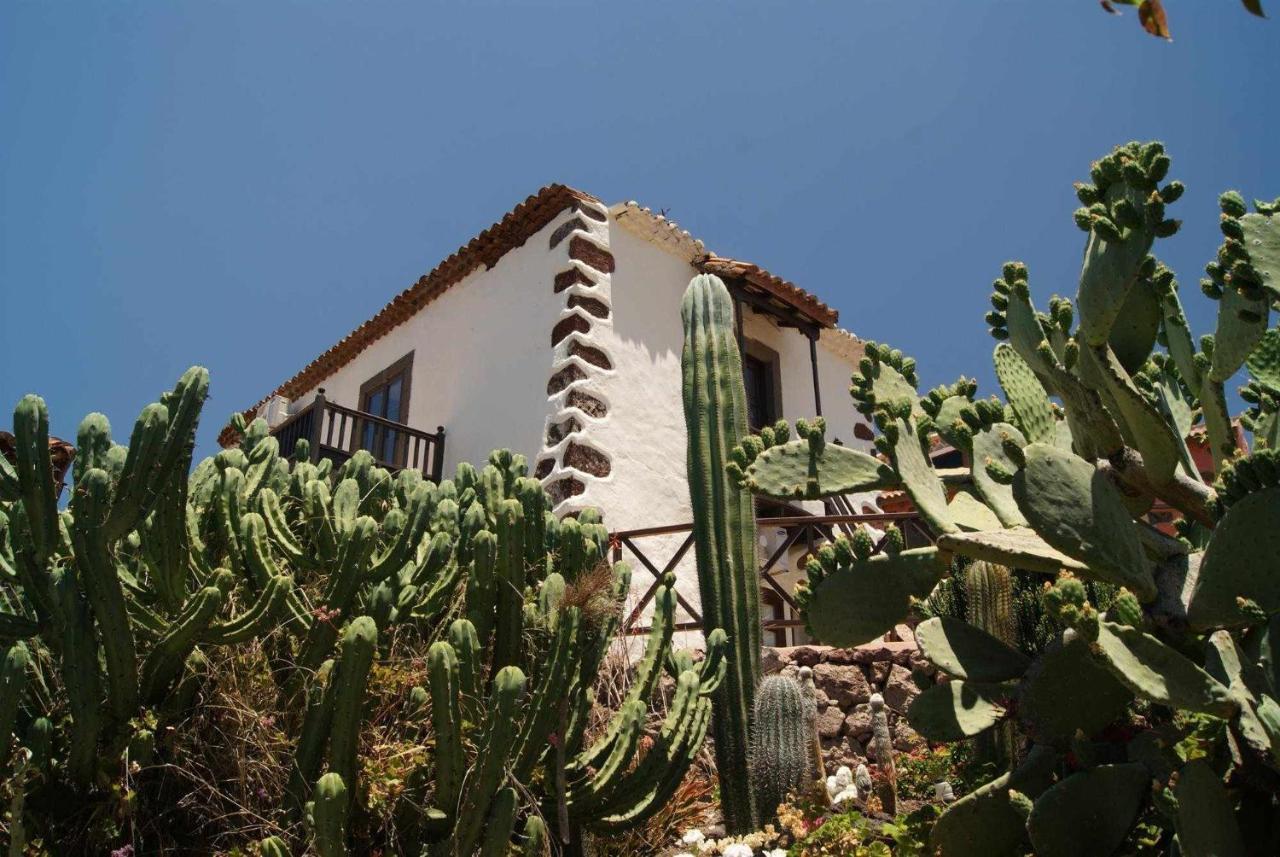 Casa Rural EL Olivar - La Almazara Santa Lucia Dış mekan fotoğraf