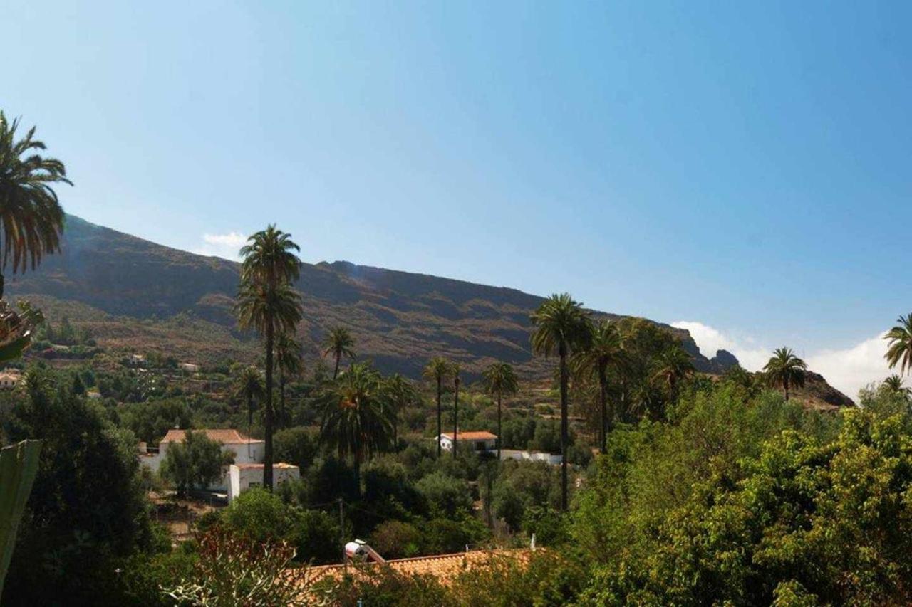 Casa Rural EL Olivar - La Almazara Santa Lucia Dış mekan fotoğraf